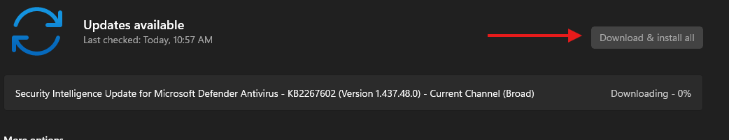 Screenshot showing Download updates button